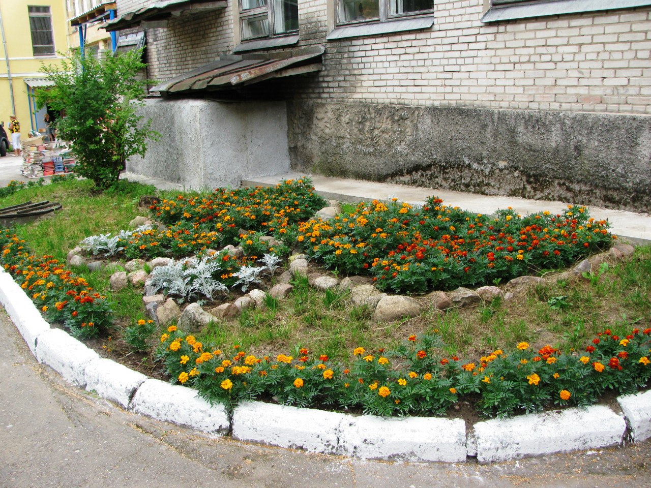 Фотографии школы.