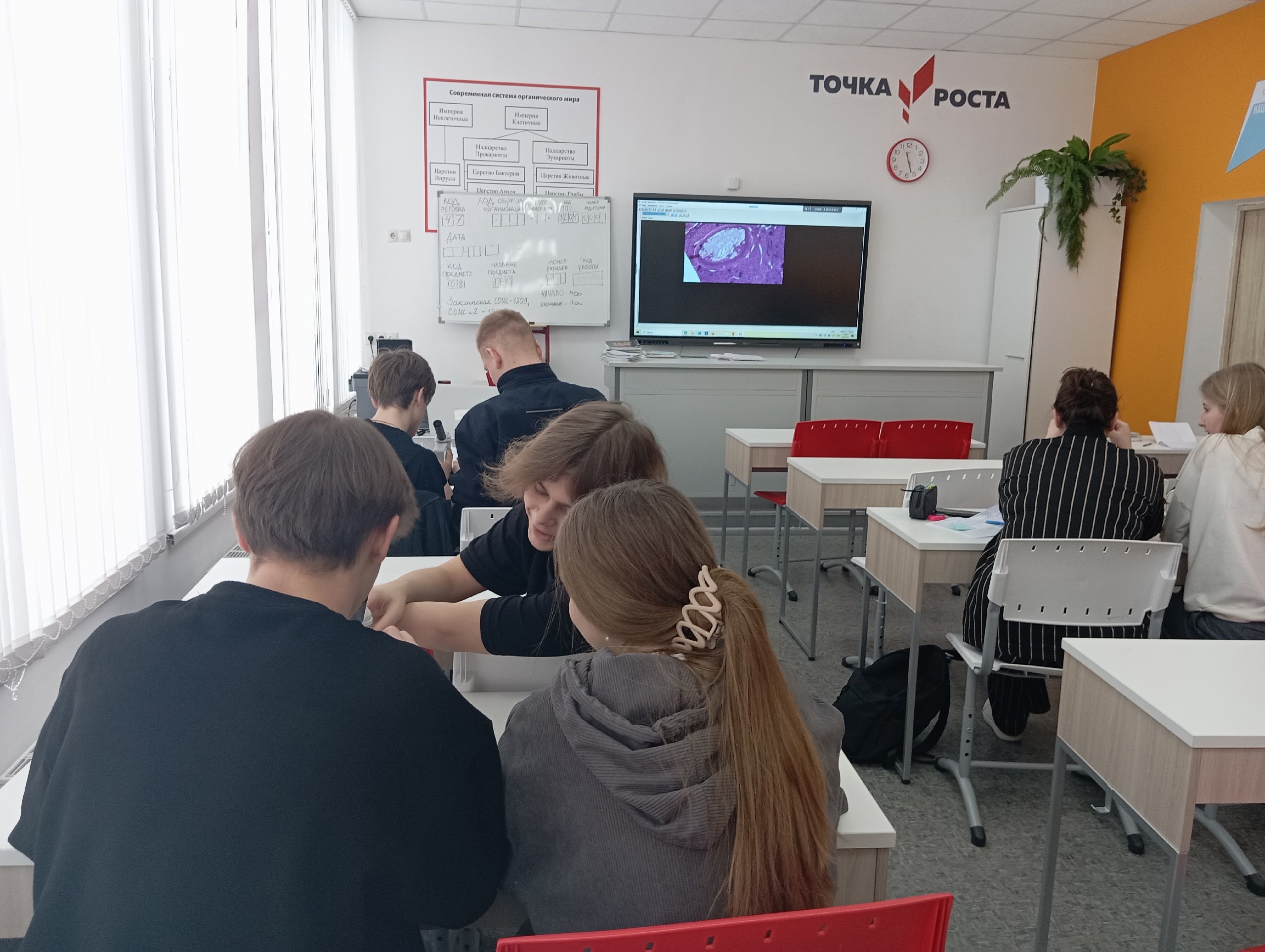 Лабораторная работа в 10 классе.