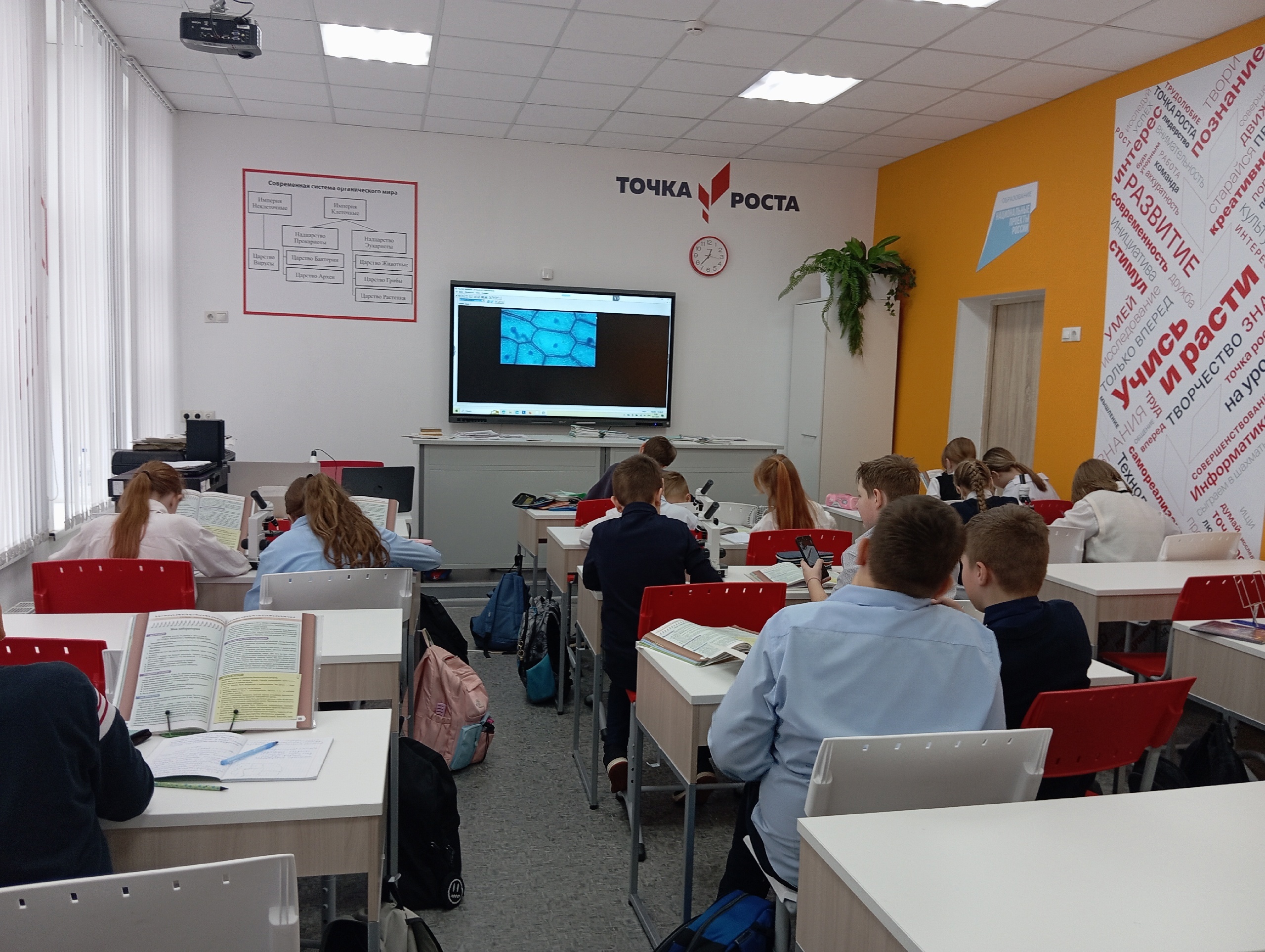 Лабораторные работы на биологии.